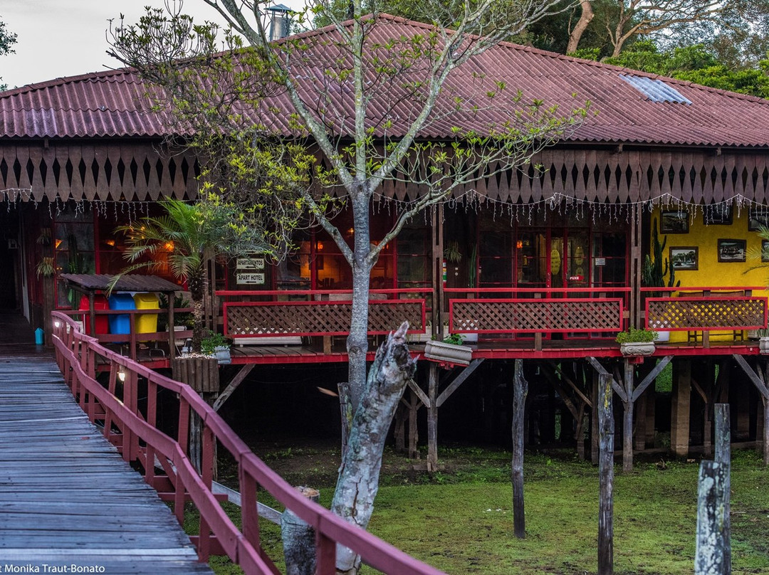 Explore Pantanal - Day Tours景点图片