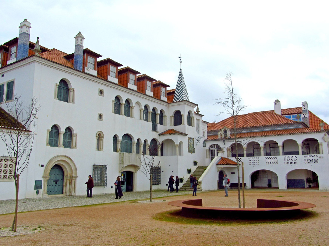 Casa dos Patudos – Museu de Alpiarça景点图片