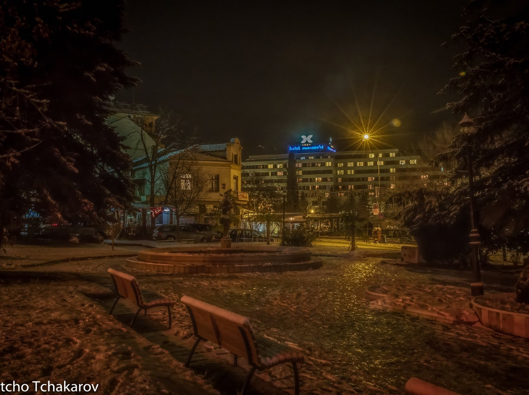 Park Hotel Sandanski主图