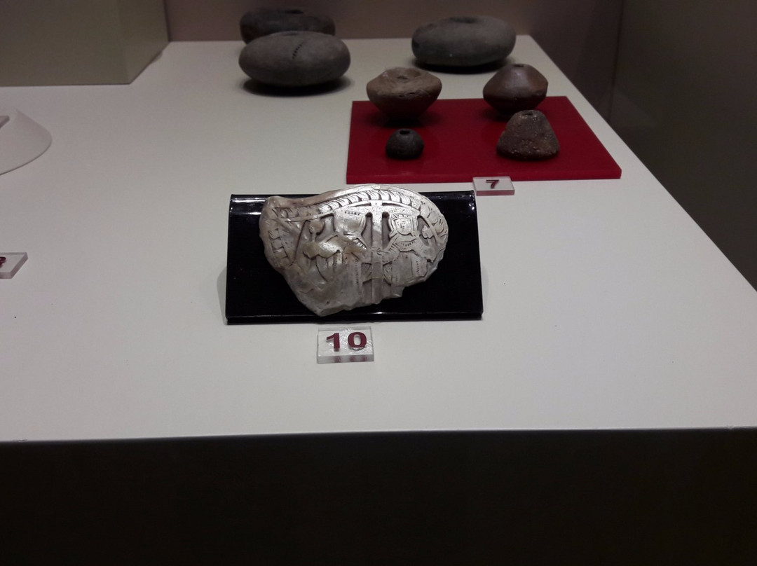 Sakarya Museum-Adapazari必去景点