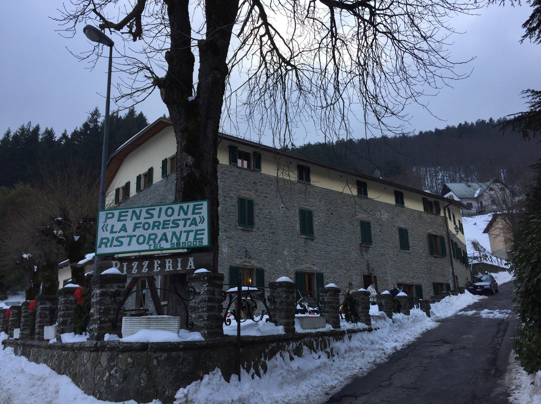 Camaldoli旅游攻略图片
