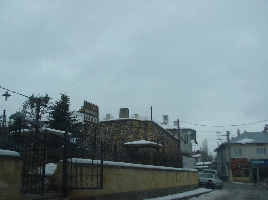 Sivas Kemankes Kara Mustafa Pasa Camisi-Sivas必去景点