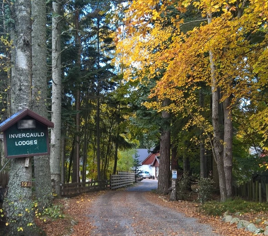 尹沃考登旅馆