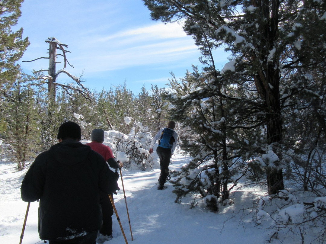 Action Zipline Tours-大熊湖必去景点