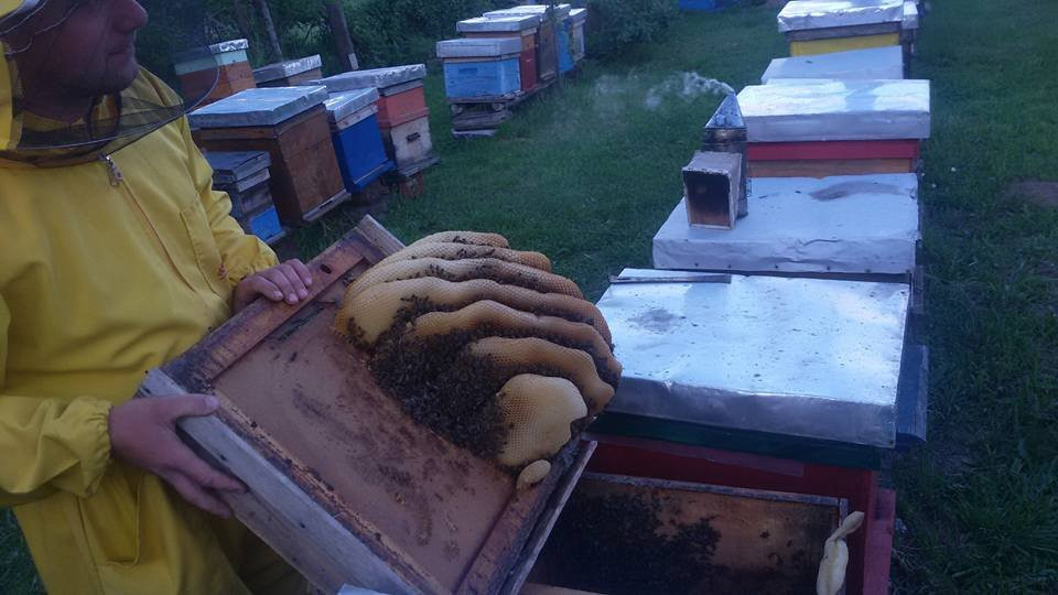 Beekeeping BN景点图片