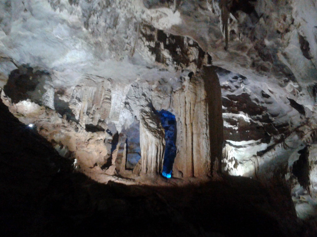 Phong Nha Daily Tours景点图片