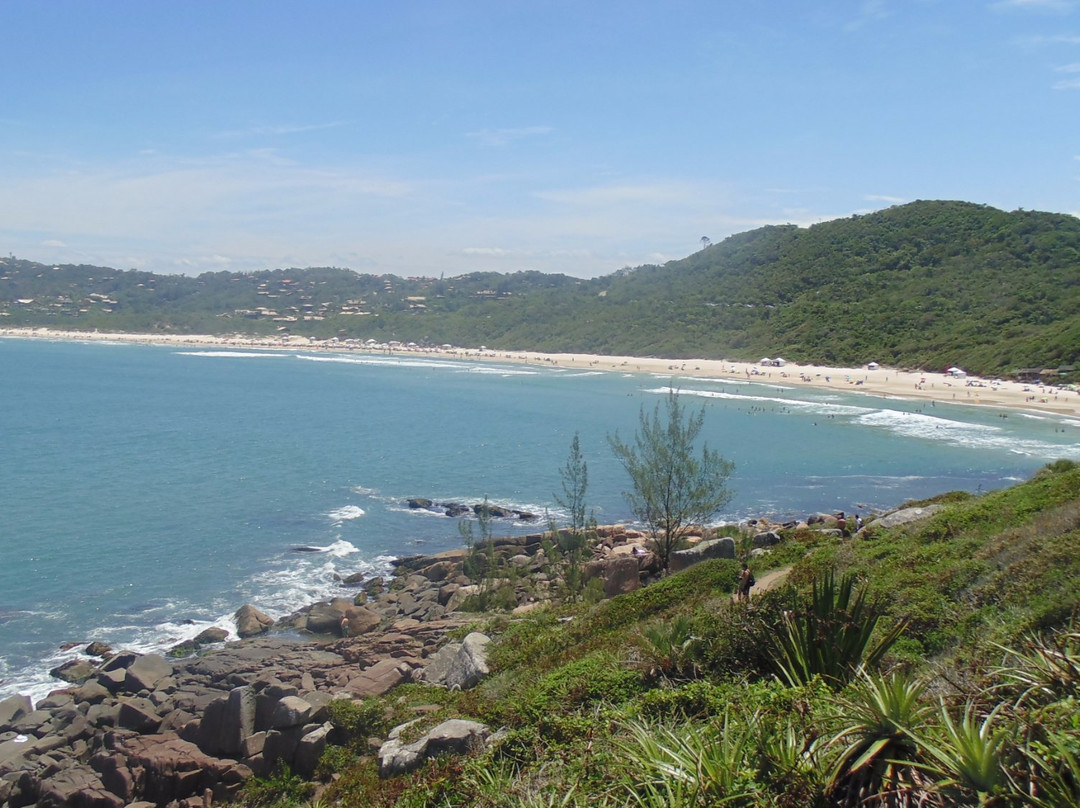 Praia do Rosa景点图片