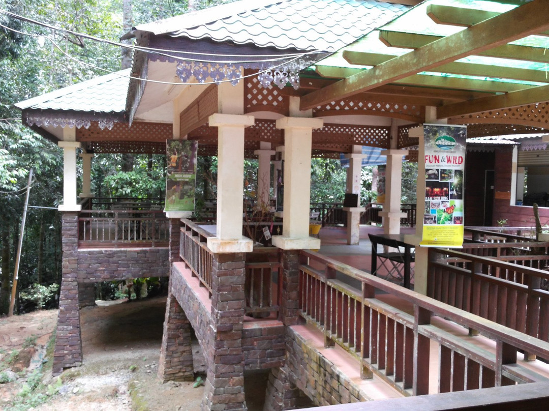 Sedim Rainforest Resort