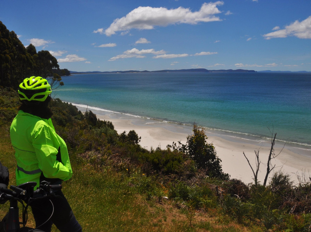 Cycle Bruny Island景点图片