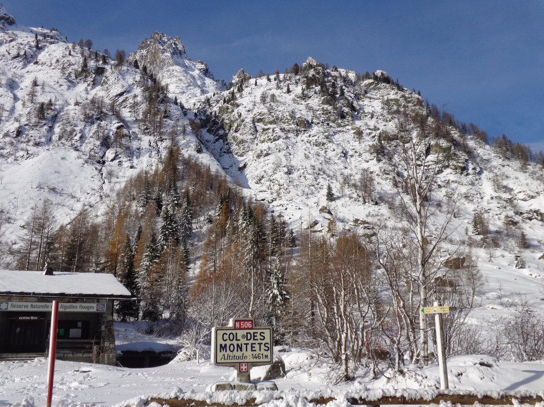 Reserve naturelle des Aiguilles Rouges-霞慕尼必去景点