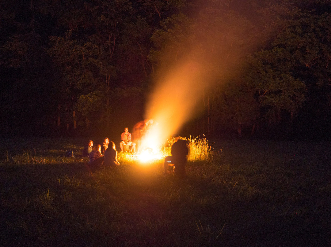 Alta Mons-Shawsville必去景点