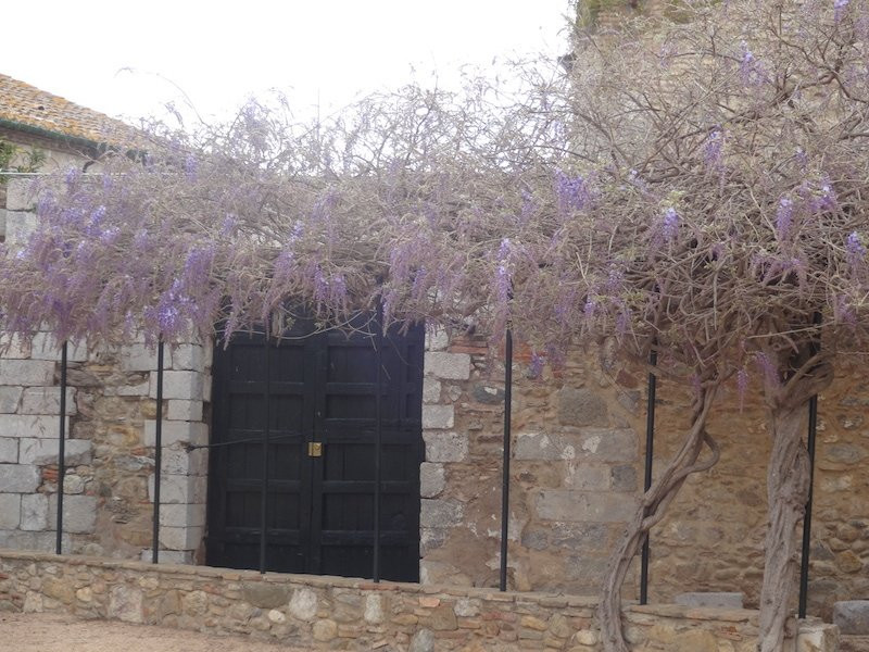 Centre de Turisme Cultural Sant Domènec景点图片