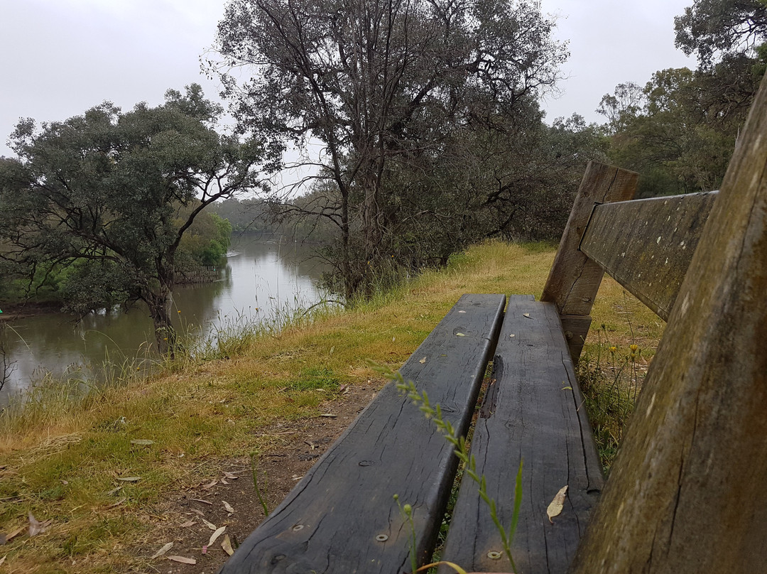 Murray River Trail-奥尔伯里必去景点