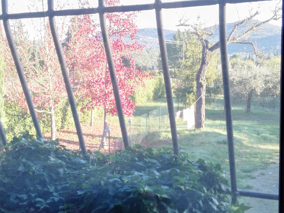 San Michele a Torri旅游攻略图片