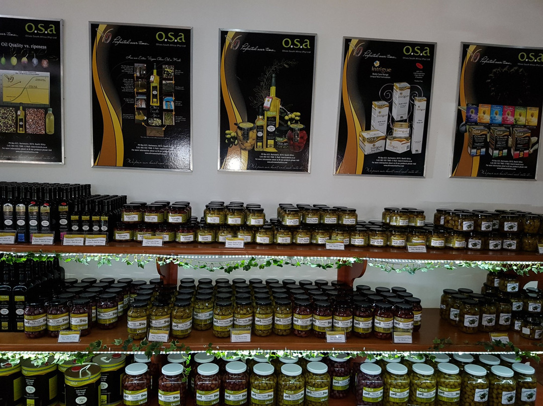 Warrenton旅游景点-Olives South Africa