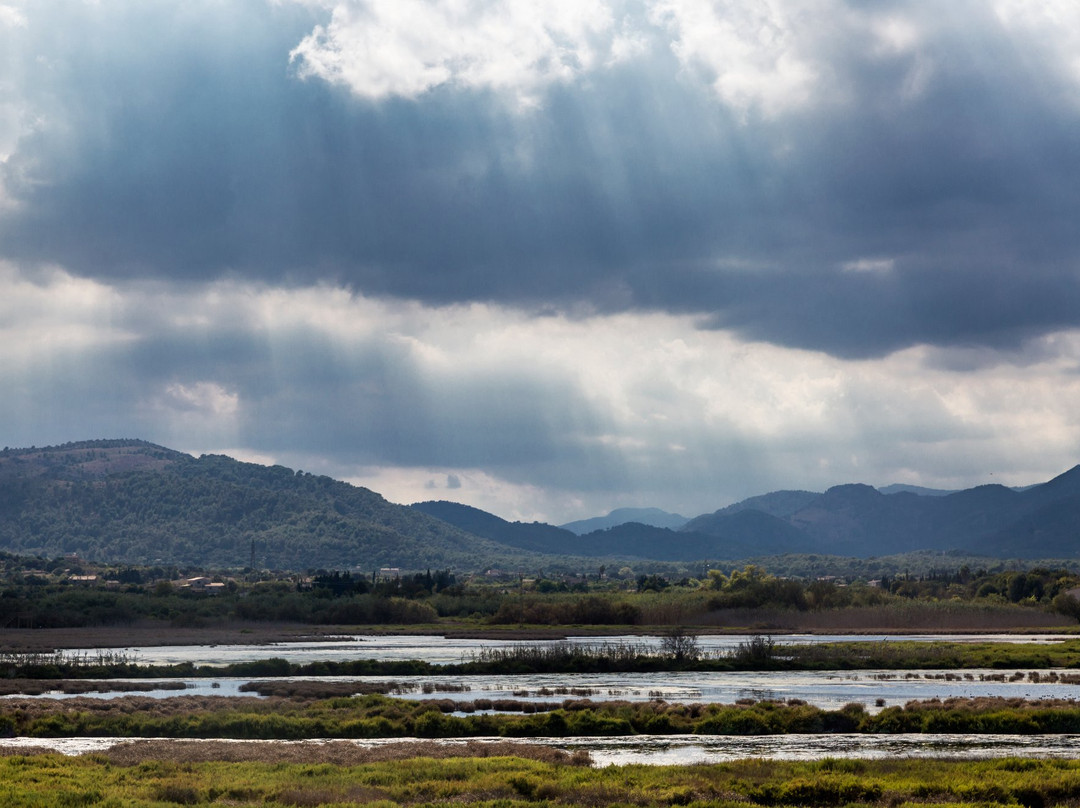 S'Albufereta Natural Reserve-波连萨必去景点