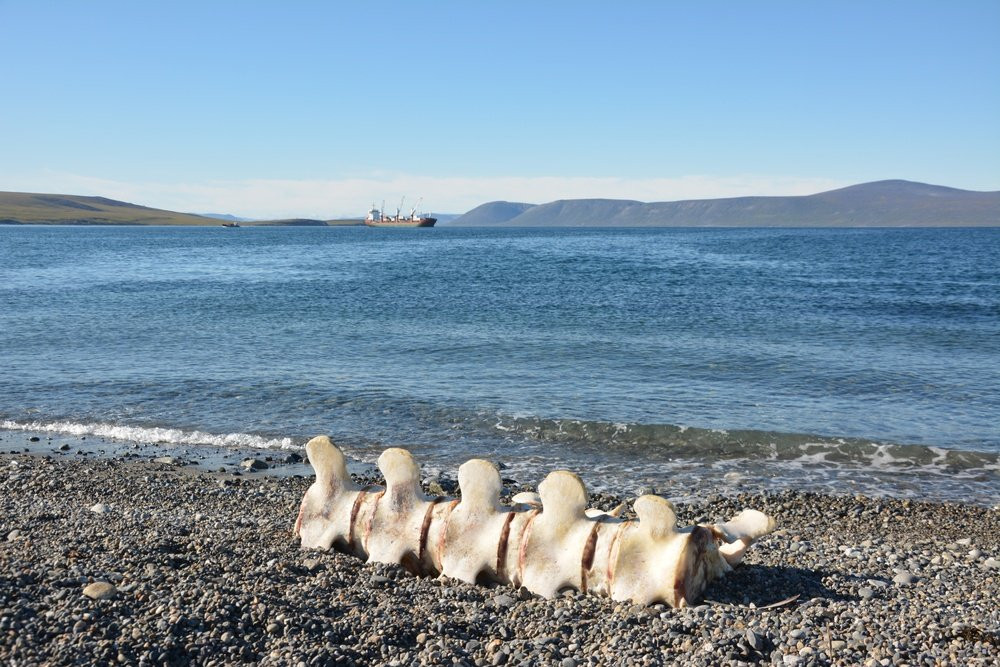 Lavrentiya Bay-Lavrentiya必去景点