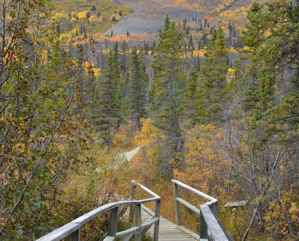Rock Glacier Trail-海恩斯章克申必去景点