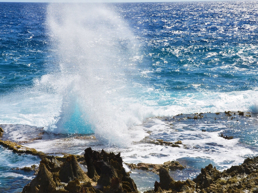 Suicide Cliff (Tinian)-Tinian必去景点