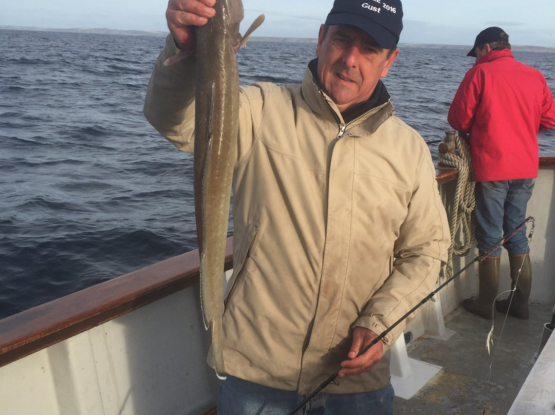 Kinsale Deep Sea Angling-金塞尔必去景点