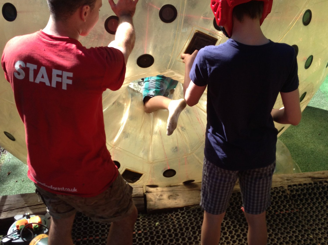 GO Zorbing London景点图片