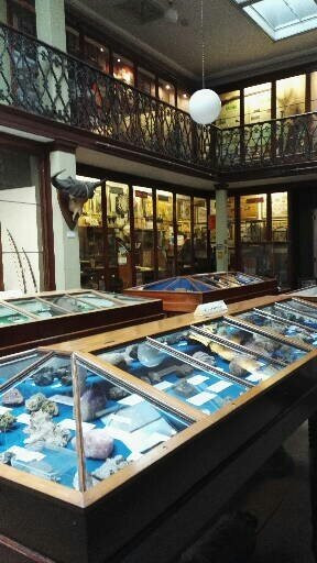 Wisbech & Fenland Museum-Wisbech必去景点