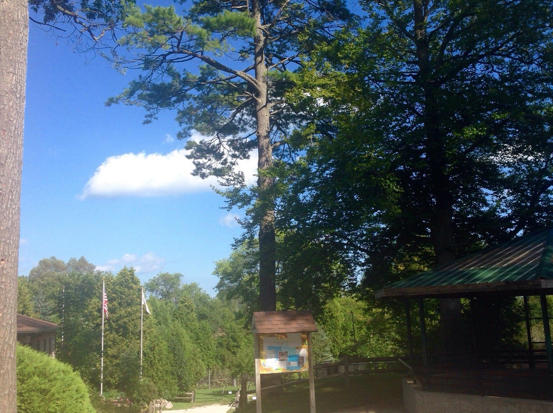 Lincoln Park Zoo景点图片