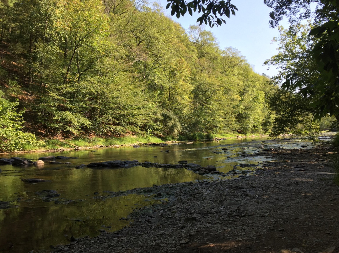 Schnecksville旅游攻略图片