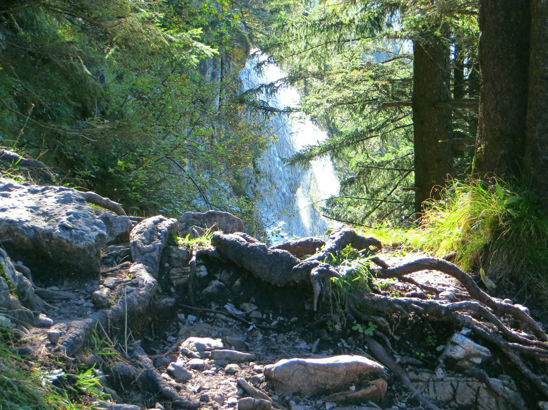 Zipfelsbach Wasserfall-Hinterstein必去景点