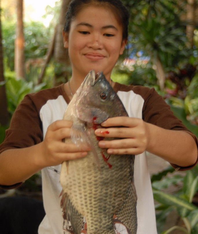 Chaibadan Fish Market景点图片