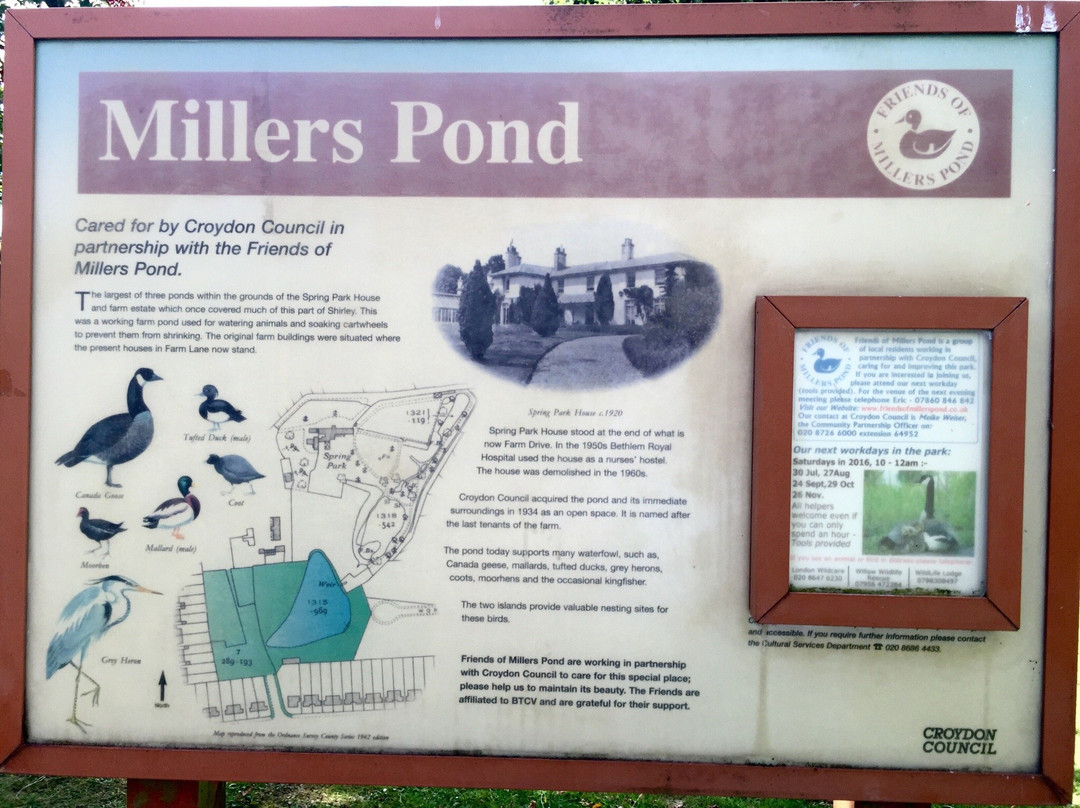 Millers Pond景点图片