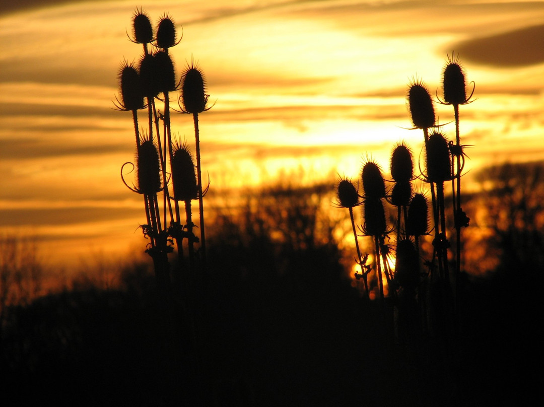 沃基肖旅游攻略图片