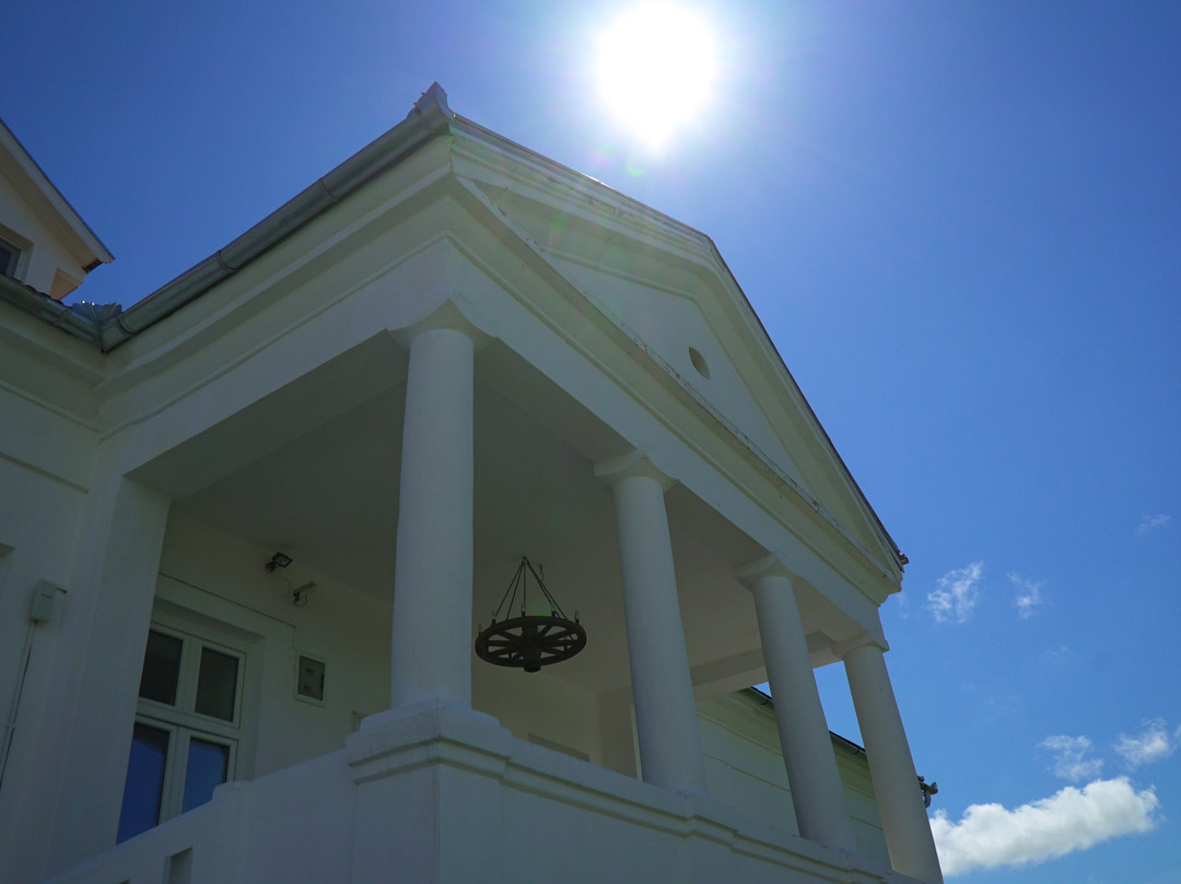 Bagaciu酒店住宿-Boutique Hotel Le Baron