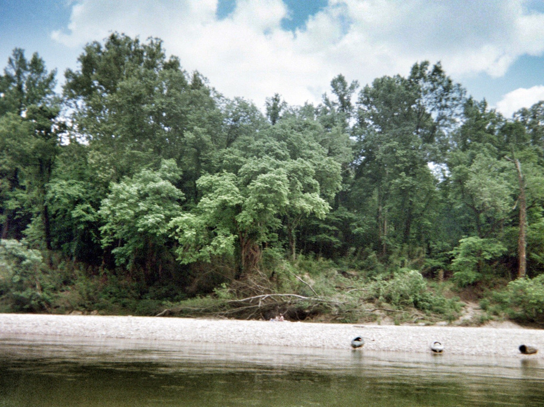 Wild Bill's Outfitter-Yellville必去景点