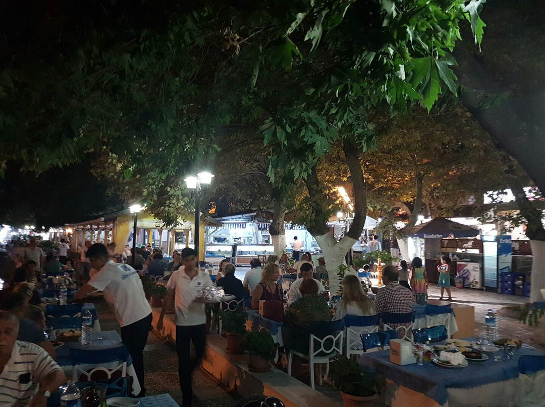 Avşa餐馆和美食-Birol Restaurant