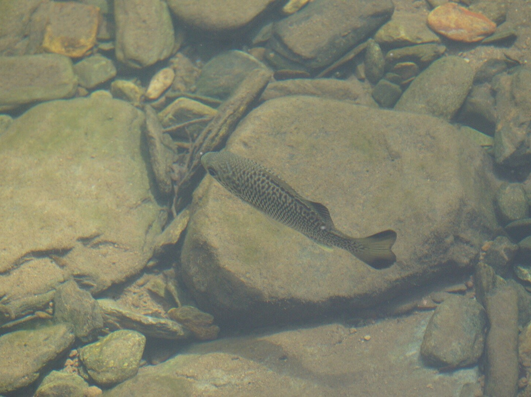 Alexandra Bay Waterfall-Diwan必去景点