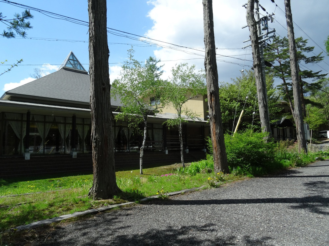 Hakuba Art Museum景点图片