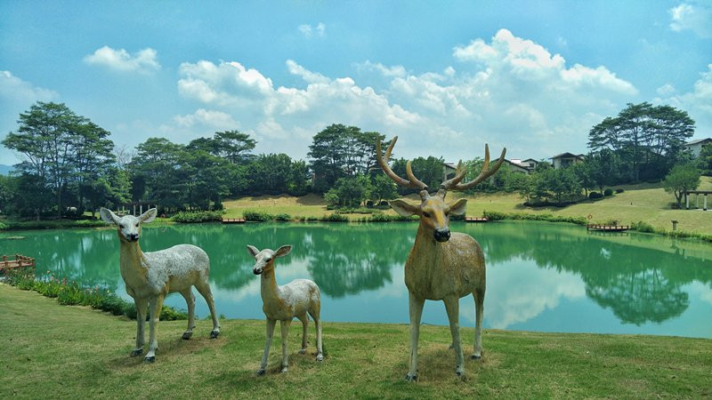 佛冈碧桂园假日温泉酒店主图
