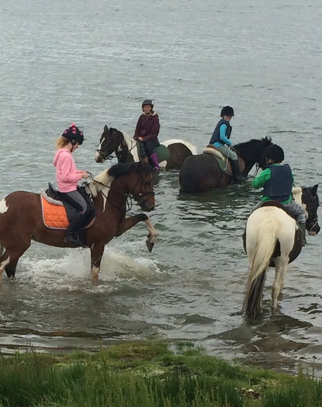 Corballis Farm Horse Trekking & Therapeutic Riding Centre-都柏林必去景点