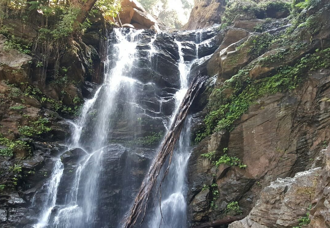 Hanuman Gundi Falls景点图片
