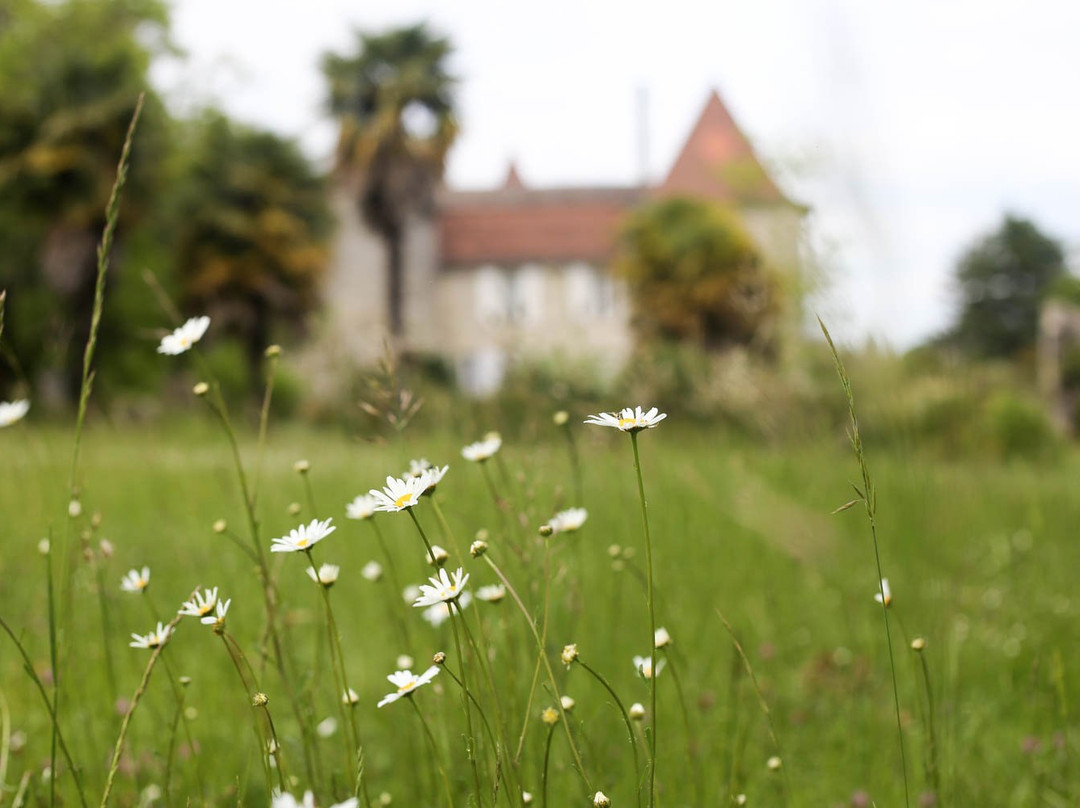 Château Mondesir主图