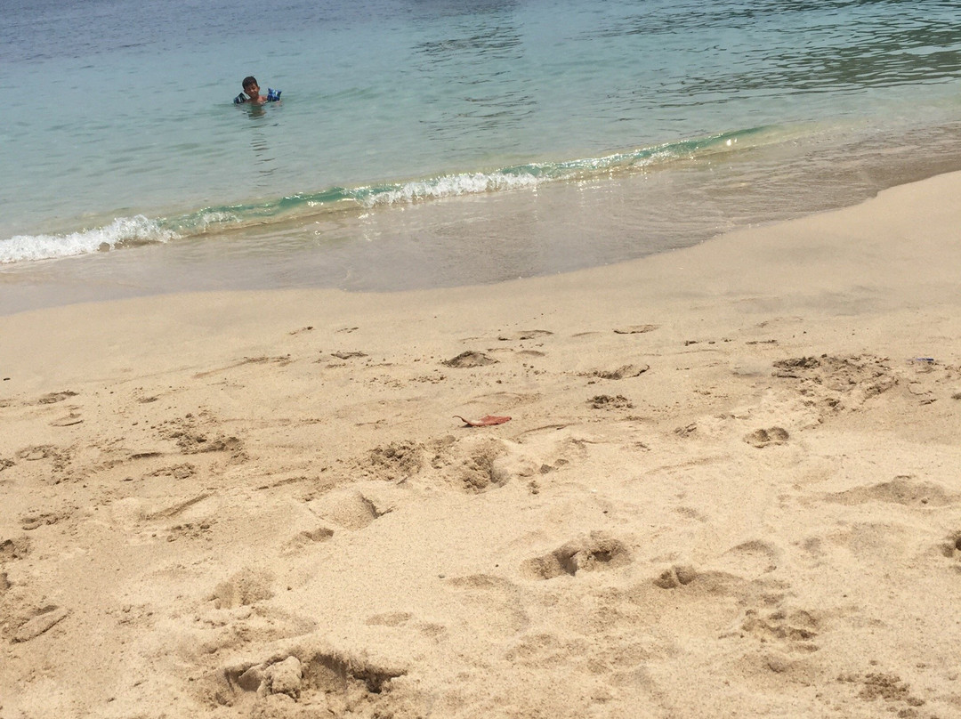 Playa Punta La Cruz景点图片