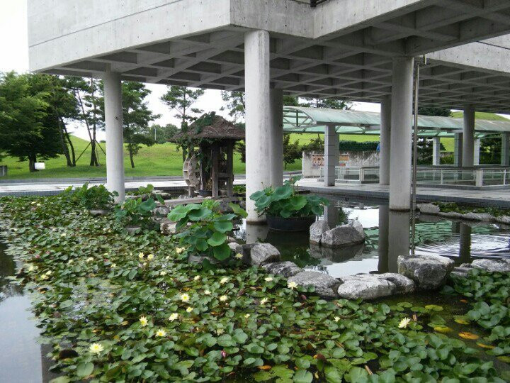 Haman Museum-咸安郡必去景点