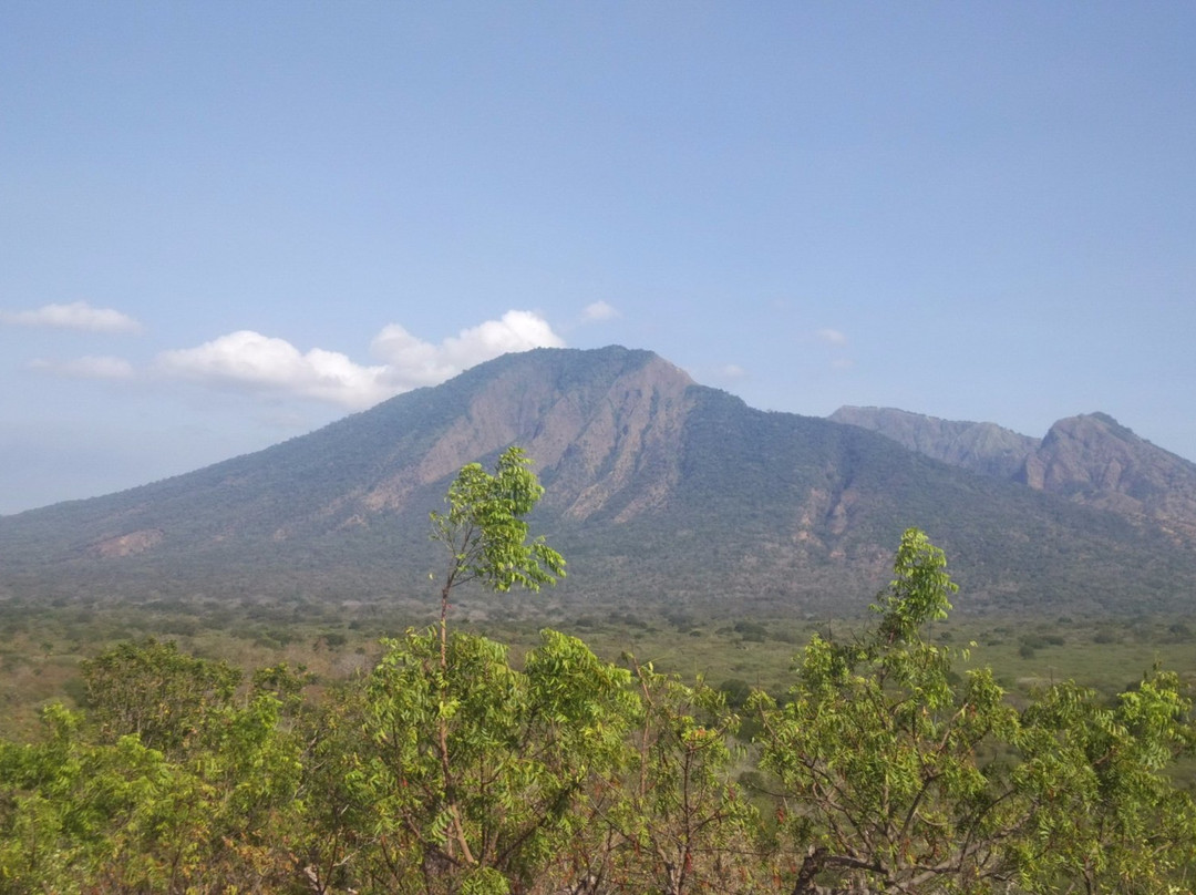 Baluran National Park景点图片