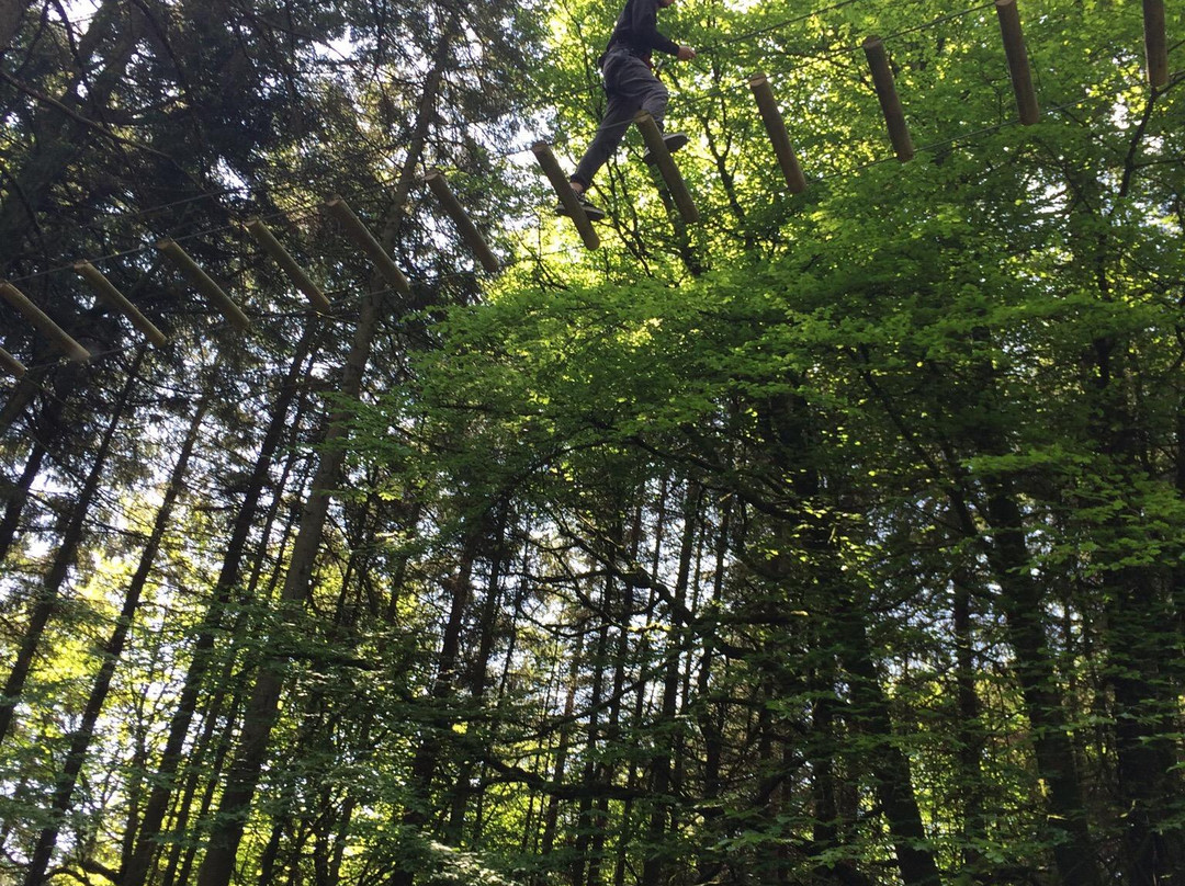 Ape Mann Adventure Park-Douglas必去景点