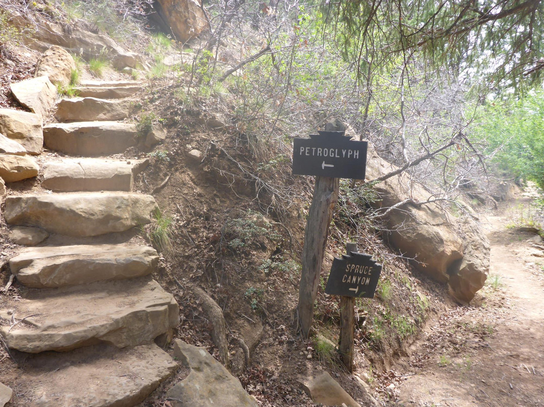 Spruce Canyon Trail-梅萨维德国家公园必去景点