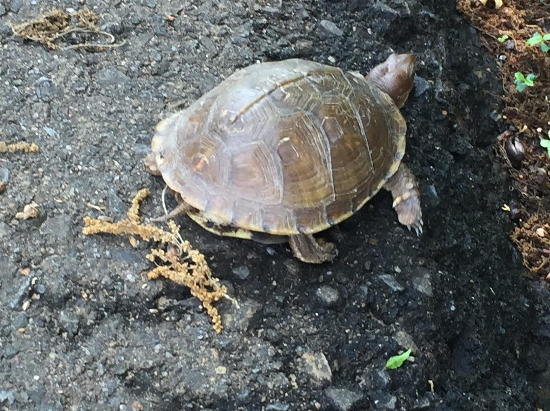 Lake Eufaula State Park-Checotah必去景点