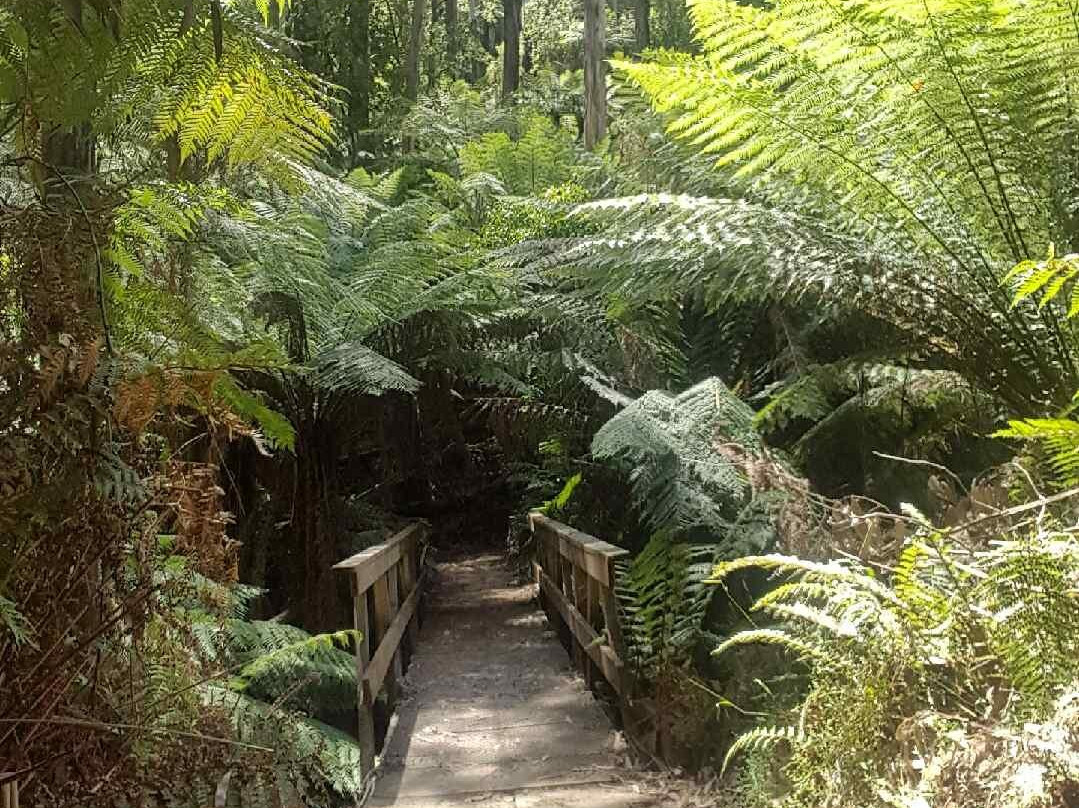 Mt Worth National Park-Allambee必去景点