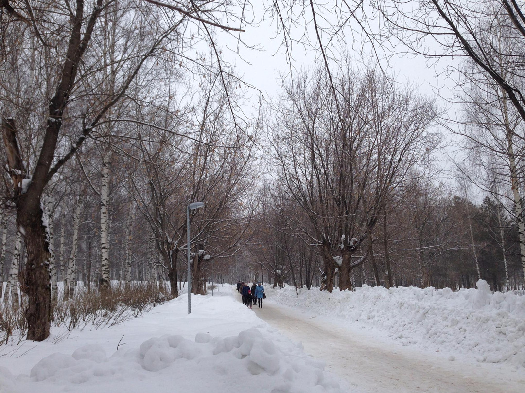 Park of Kirov景点图片