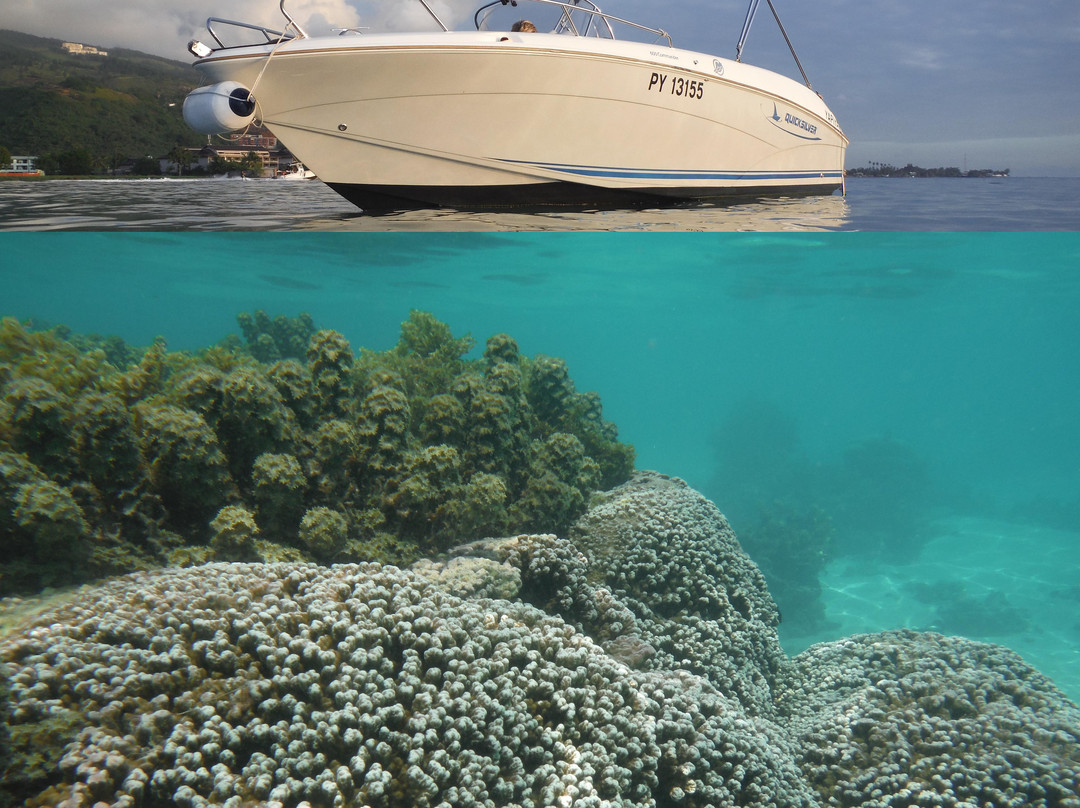 Tahiti Lagoon Paradise-大溪地必去景点